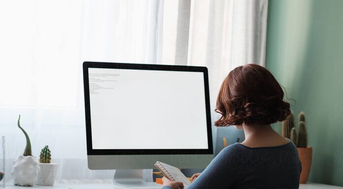 Shopware-Beratung: Strategien für den Erfolg Ihres Onlineshops